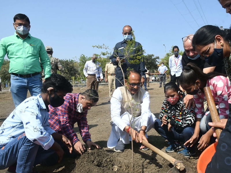 Plantation with Chief Minister